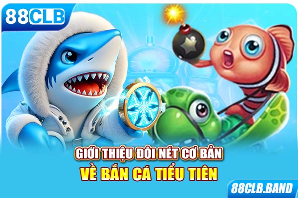 Giới thiệu đôi nét cơ bản về bắn cá tiểu tiên