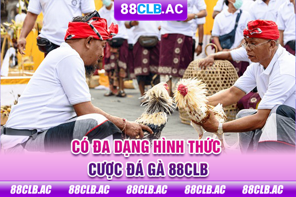 Có đa dạng hình thức cược đá gà 88CLB
